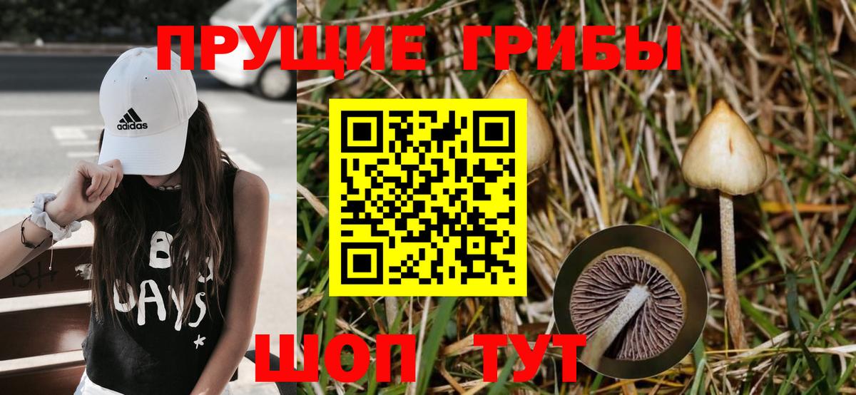 COCAIN Саянск