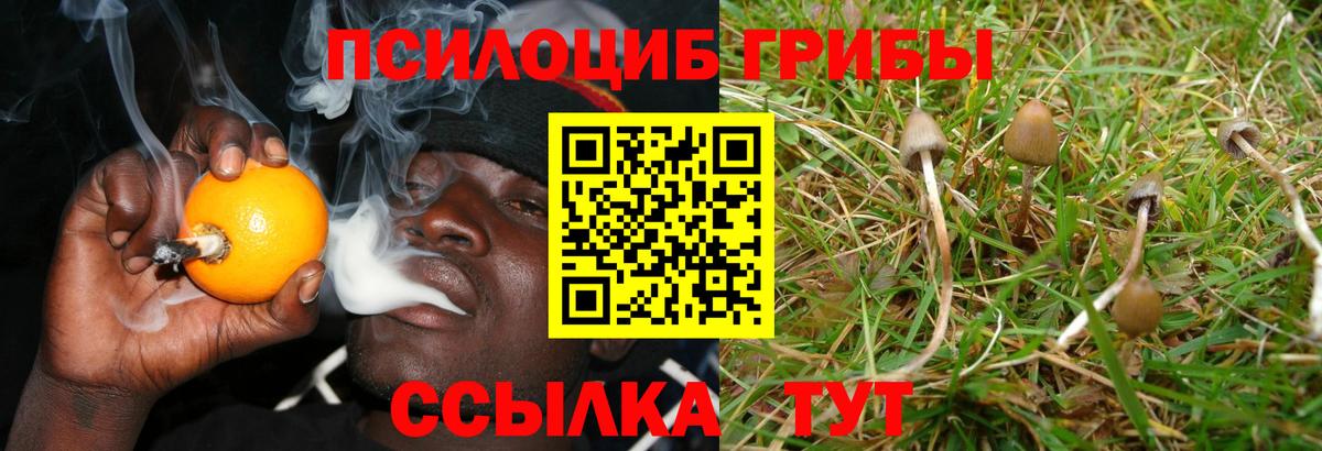 магазин продажи   Вход с VPN  Саянск  Галлюциногенные грибы мицелий 